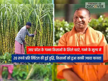 UP News, cm YOGI