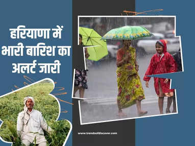 Haryana Rain Alert