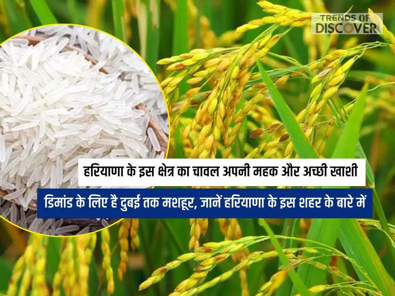 Haryana News, basmati chawal rice