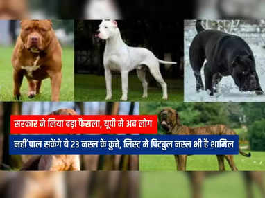 यूपी मे अब लोग नहीं पाल सकेंगे ये 23 नस्ल के कुत्ते