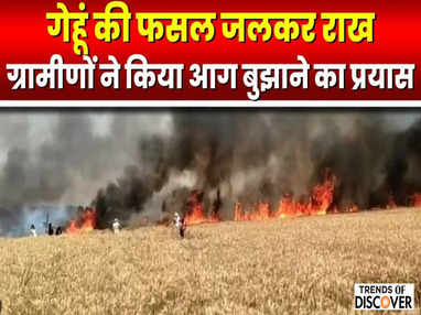 102 bighas of crops burnt to ashes