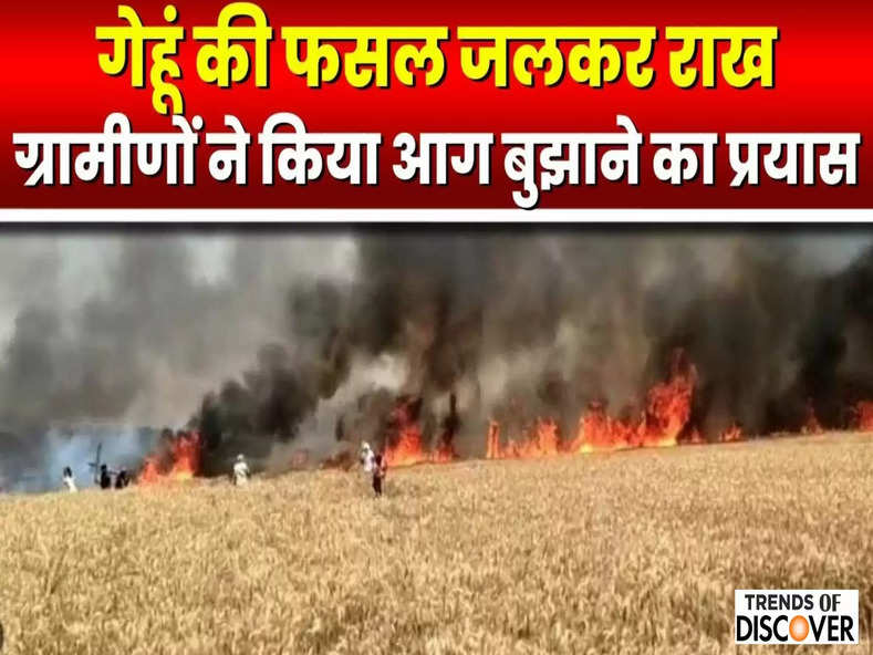 102 bighas of crops burnt to ashes