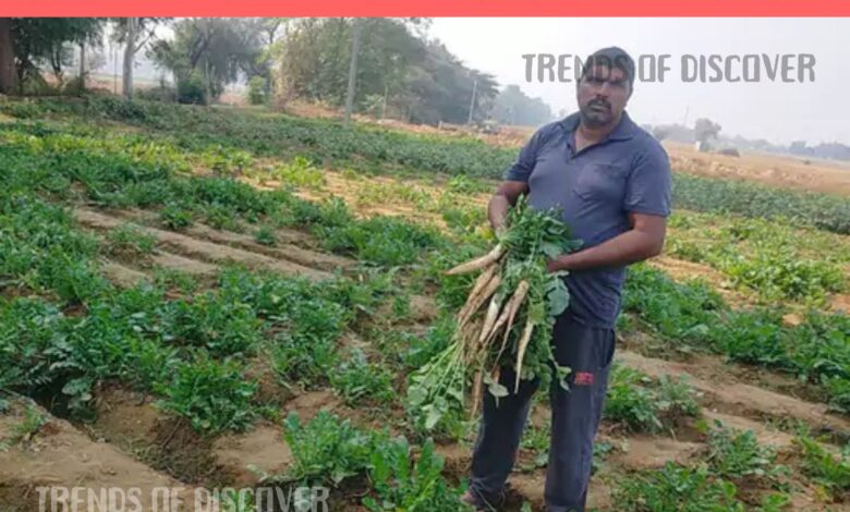 Farmers of Sirsa