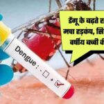 rise of dengue