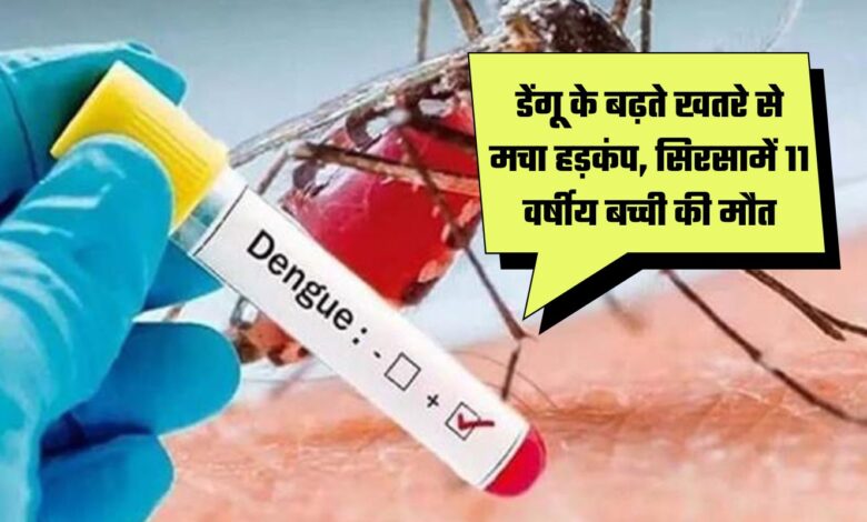 rise of dengue