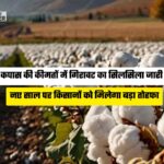 Cotton Price