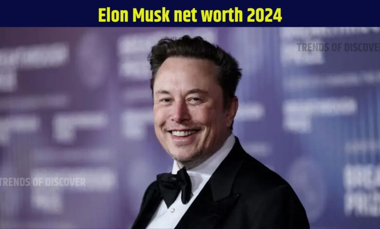 Elon Musk net worth 2024