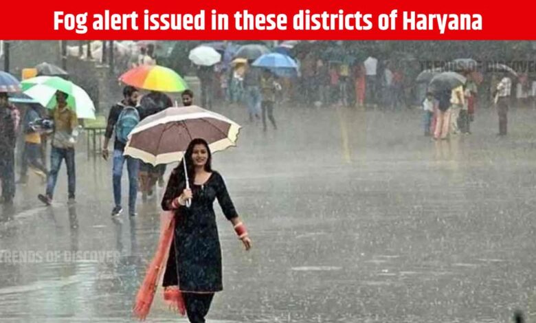 Haryana Weather Update