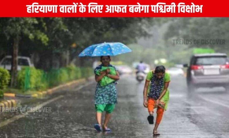 Haryana weather