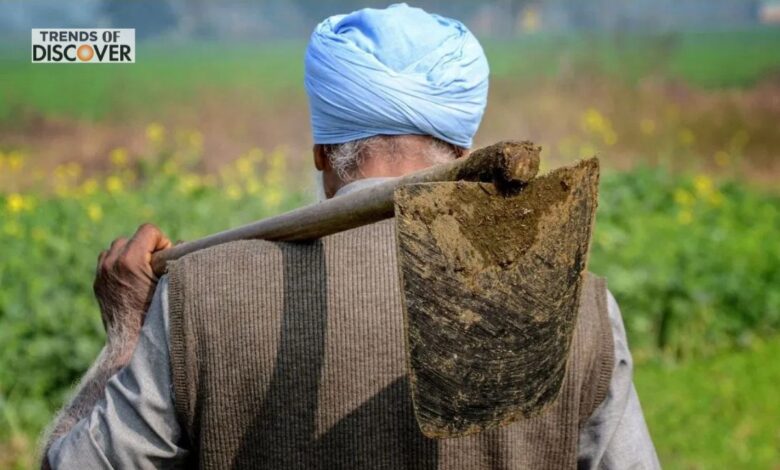 Rains in Haryana