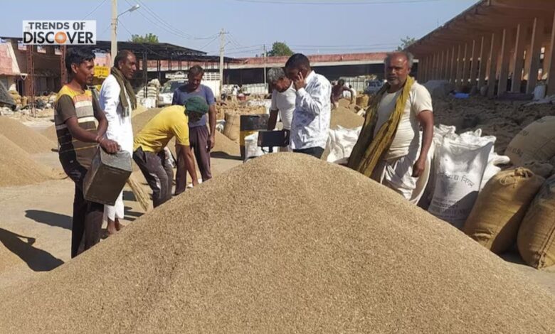 Rajasthan Mandi Jeera