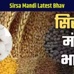 , Sirsa Mandi Kapas Bhav, Sirsa Market Guar Rates, Gehun Bhav in Sirsa, Barley Rate in Sirsa, Rice Price in Haryana Mandi, Sirsa District Mandi Bhav, Chautala Mandi Bhav, Dabwali Mandi Rates, Ellenabad Mandi Prices, Kalanwali Mandi Rates, Rania Mandi Bhav, Jiwan Nagar Mandi Rates, Mallekan Mandi Prices, Sirsa Agriculture Market Rates, Haryana Grain Market Updates, Sirsa Vegetable Market Prices, Mustard Price in Sirsa, Paddy Rates in Sirsa, Sirsa Onion Prices, Sirsa Tomato Bhav, Sirsa Potato Rates, Pulses Price in Sirsa, Haryana Crop Price Updates, Sirsa Mandi Commission Agents, Sirsa Mandi Rules and Regulations, Cottonseed Prices in Sirsa, Sirsa Mandi Seasonal Rates, Sirsa Mandi Grain Market, Haryana Mandi News Updates, Sirsa Mandi Farmer Support, Sirsa Mandi Bhav Analysis, Sirsa Mandi Commodity Prices, Sirsa Oilseed Market Rates, Sirsa Mandi Weather Impact, Haryana Wholesale Prices, Sirsa Mandi Market Trends, Sirsa Mandi Trading Tips, Sirsa Crop Auction Rates, Sirsa Mandi Real-Time Updates, Sirsa Market Price Predictions, Sirsa Mandi App for Rates, Sirsa Agricultural Market News