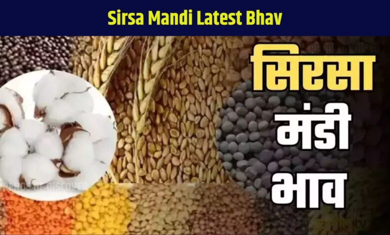 , Sirsa Mandi Kapas Bhav, Sirsa Market Guar Rates, Gehun Bhav in Sirsa, Barley Rate in Sirsa, Rice Price in Haryana Mandi, Sirsa District Mandi Bhav, Chautala Mandi Bhav, Dabwali Mandi Rates, Ellenabad Mandi Prices, Kalanwali Mandi Rates, Rania Mandi Bhav, Jiwan Nagar Mandi Rates, Mallekan Mandi Prices, Sirsa Agriculture Market Rates, Haryana Grain Market Updates, Sirsa Vegetable Market Prices, Mustard Price in Sirsa, Paddy Rates in Sirsa, Sirsa Onion Prices, Sirsa Tomato Bhav, Sirsa Potato Rates, Pulses Price in Sirsa, Haryana Crop Price Updates, Sirsa Mandi Commission Agents, Sirsa Mandi Rules and Regulations, Cottonseed Prices in Sirsa, Sirsa Mandi Seasonal Rates, Sirsa Mandi Grain Market, Haryana Mandi News Updates, Sirsa Mandi Farmer Support, Sirsa Mandi Bhav Analysis, Sirsa Mandi Commodity Prices, Sirsa Oilseed Market Rates, Sirsa Mandi Weather Impact, Haryana Wholesale Prices, Sirsa Mandi Market Trends, Sirsa Mandi Trading Tips, Sirsa Crop Auction Rates, Sirsa Mandi Real-Time Updates, Sirsa Market Price Predictions, Sirsa Mandi App for Rates, Sirsa Agricultural Market News