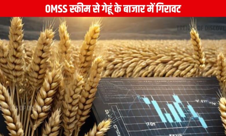 Wheat Price