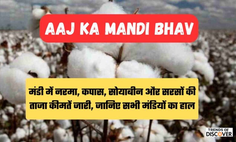 Aaj Ka Mandi Bhav