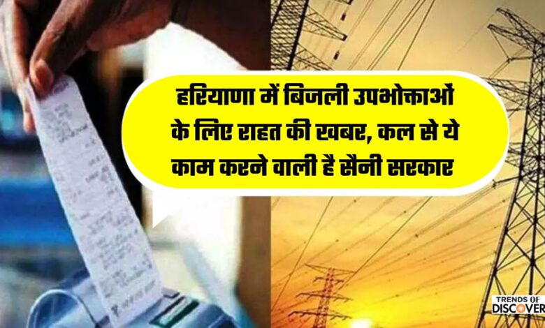 Haryana Electricity consumers