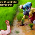 Haryana Farmers News