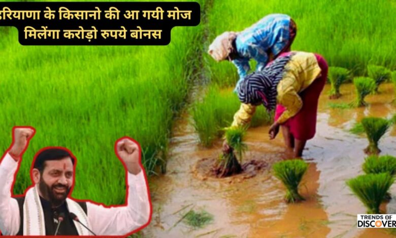 Haryana Farmers News