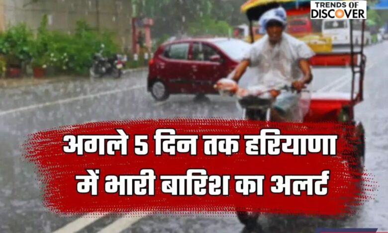 Haryana Heavy Rainfall