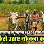 Haryana Pashudhan Bima Yojana