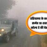 Haryana Weather Update