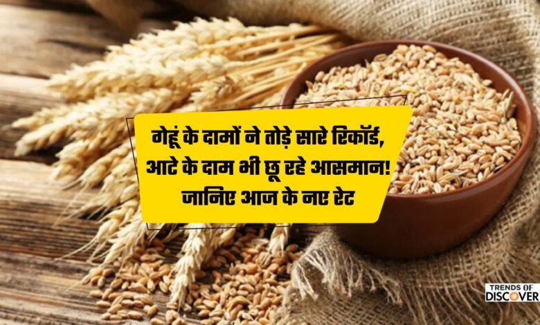 गेहूं के दामों ने तोड़े सारे रिकॉर्ड, आटे के दाम भी छू रहे आसमान! जानिए आज के नए रेट